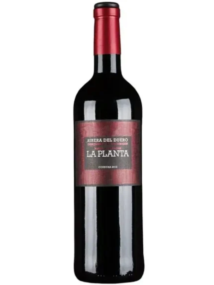 Arzuaga Navarro La Planta