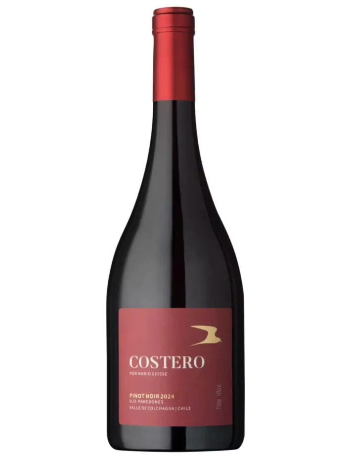 Mario Geisse Costero Pinot Noir Mario Geisse Costero Pinot Noir - garrafa