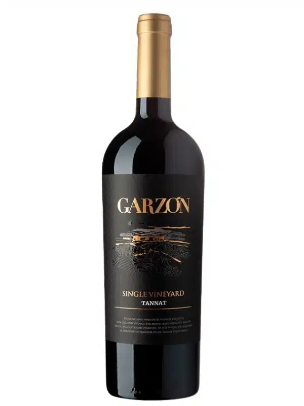 Garzon Single Vineyard Tannat 2020