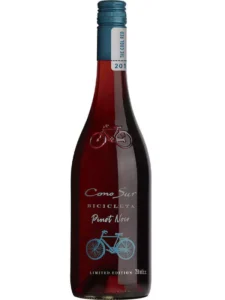 Cono Sur Bicicleta Limited Edition Pinot Noir