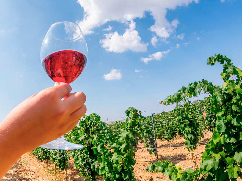 Vinhos naturais