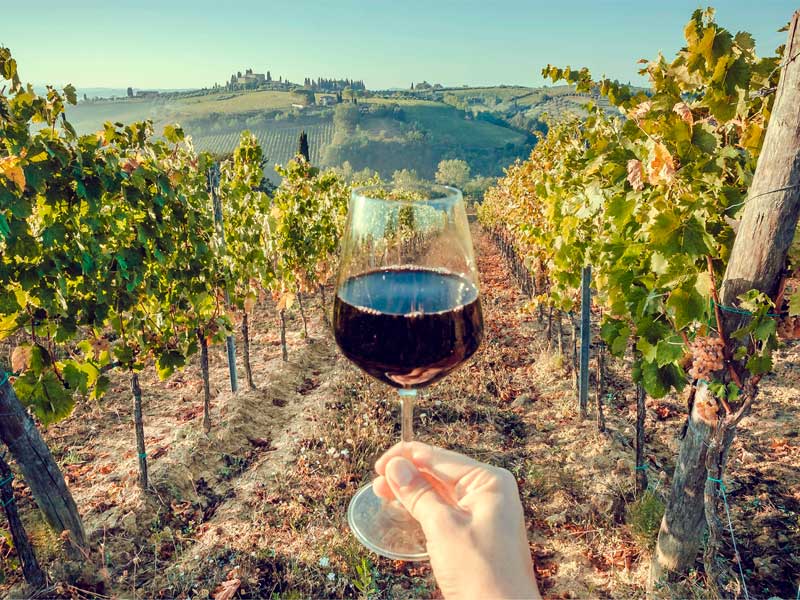 Vinhos orgânicos, biodinâmicos e naturais