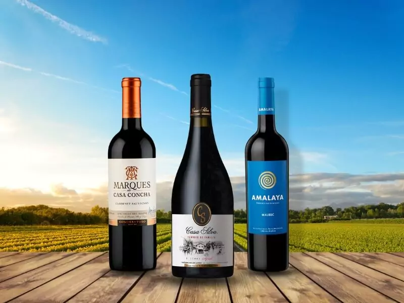 Vinhos Varietais no-lazy