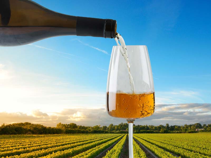 A aparência e o gosto do Vinho Laranja