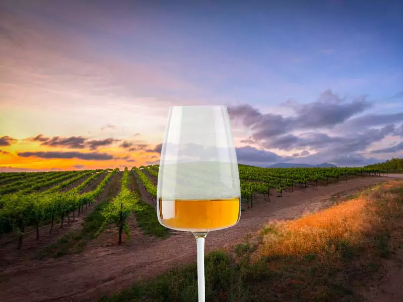 O origem do vinho laranja