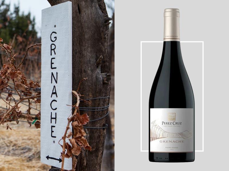A mesma uva com diferentes nomes: Grenache