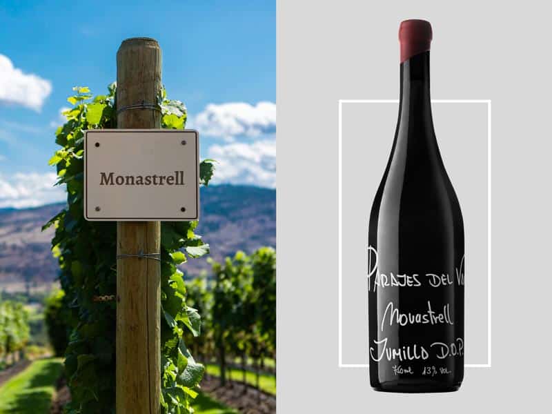 A mesma uva com diferentes nomes: Monastrell