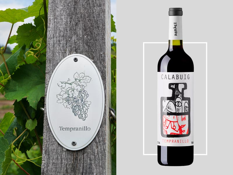A mesma uva com diferentes nomes: Tempranillo