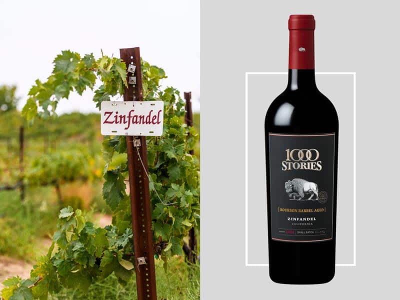 A mesma uva com diferentes nomes: Zinfandel