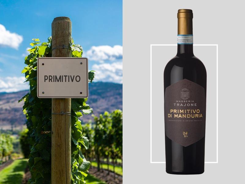 Origem do nome das uvas tintas: Primitivo