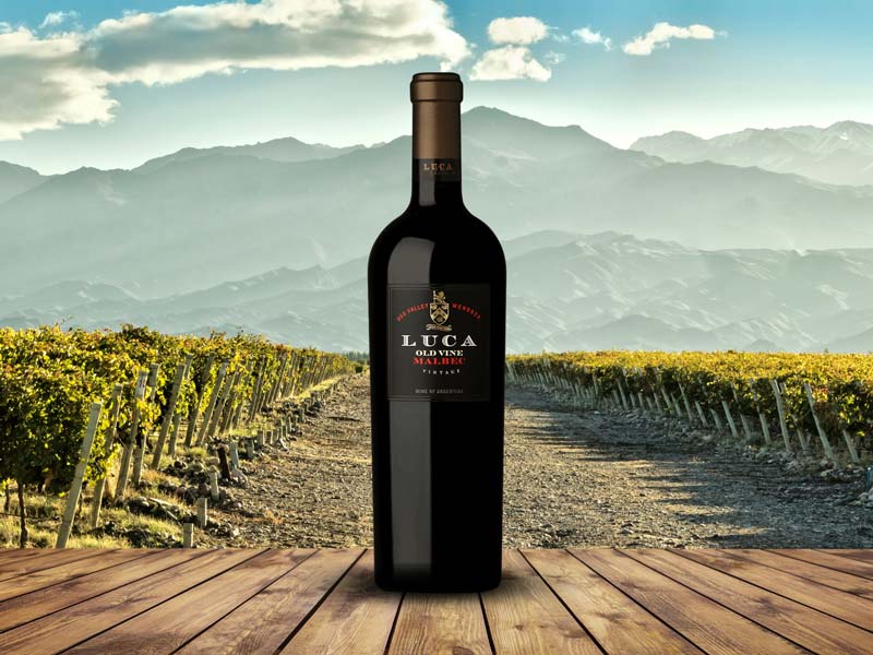 Conheça os vinhos de “Vinhas Velhas” - Luca Malbec