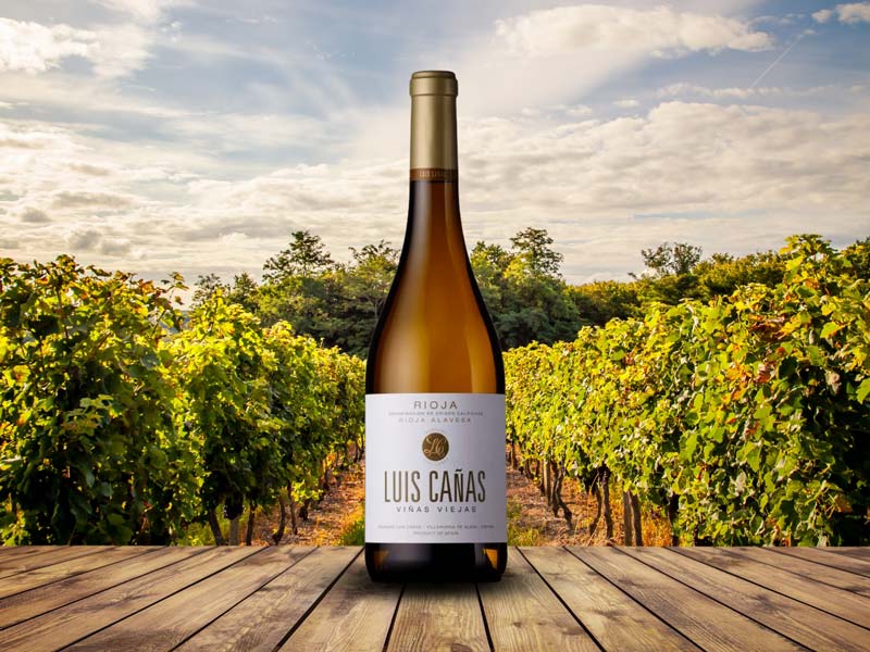Conheça os vinhos de “Vinhas Velhas” - Luis Cañas