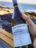 Los Vascos Sauvignon Blanc