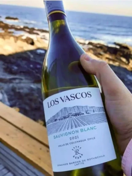 Los Vascos Sauvignon Blanc