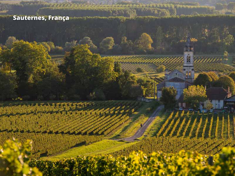 Principais regiões produtoras de vinhos botritizados - Sauternes
