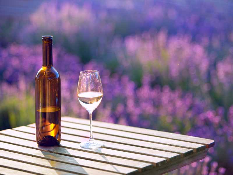 Características de um vinho indicado para a primavera