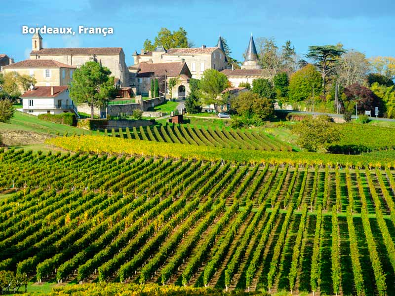 Principais regiões produtoras do velho mundo - Bordeaux