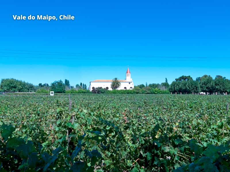 Principais regiões produtoras do novo mundo - Vale do Maipo