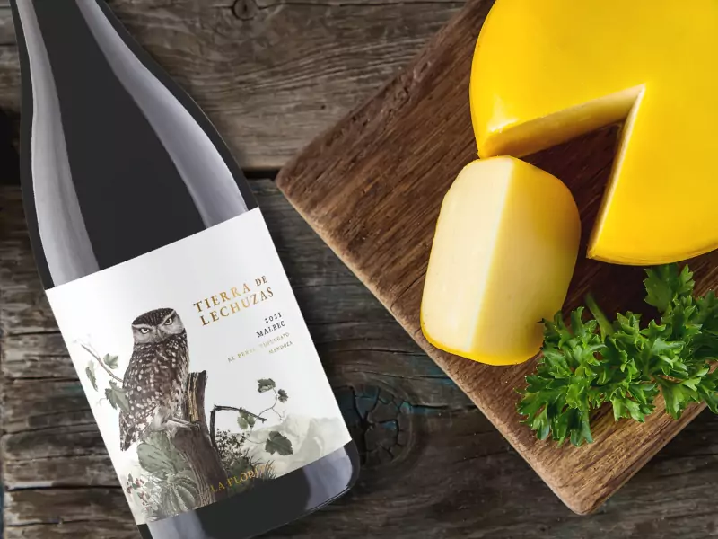 Harmonização de queijos semi moles e vinhos malbec