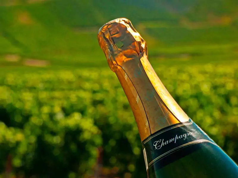 Garrafa de Champagne com vinhedos ao fundo