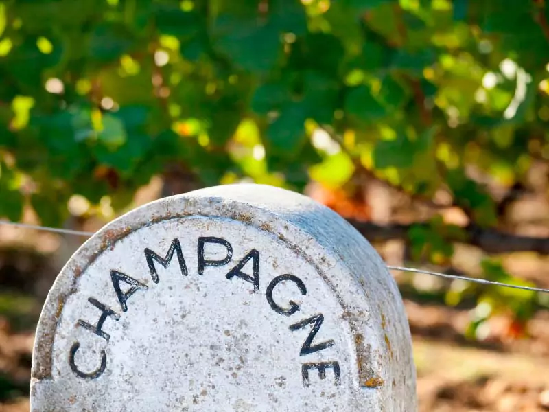 Champagne, o vinho espumante mais famoso do mundo