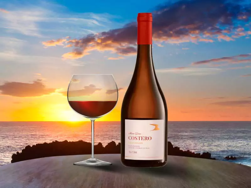 Vinhos de Verão - Mario Geisse Costero