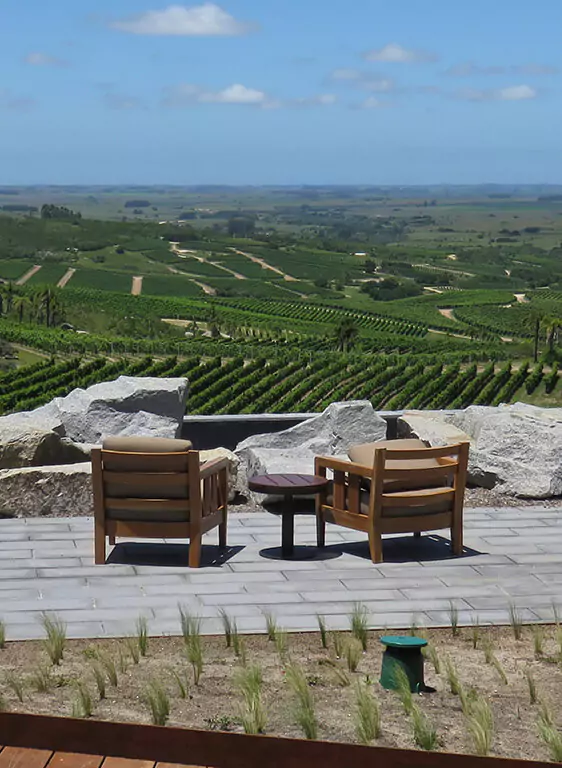 Garzon Single Vineyard