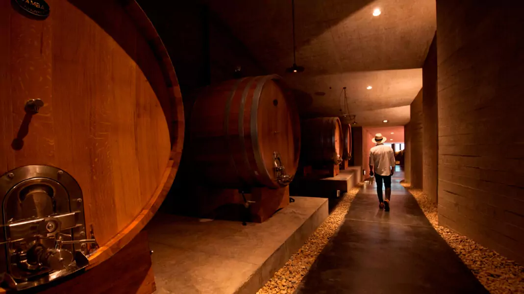 Madeira Garzon