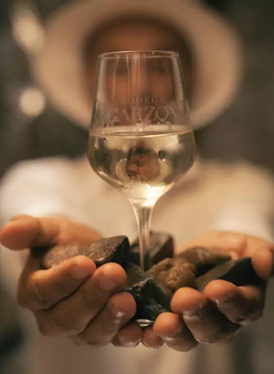 Vinho Branco Garzon