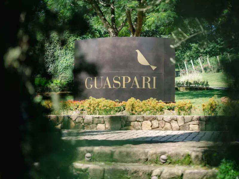 Guaspari Entrada no-lazy