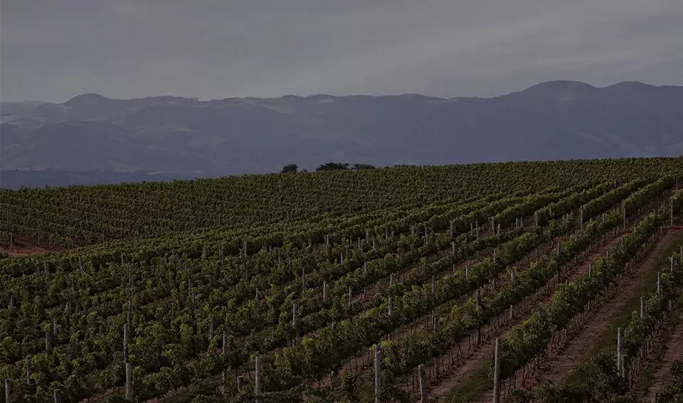 Guaspari Terroir