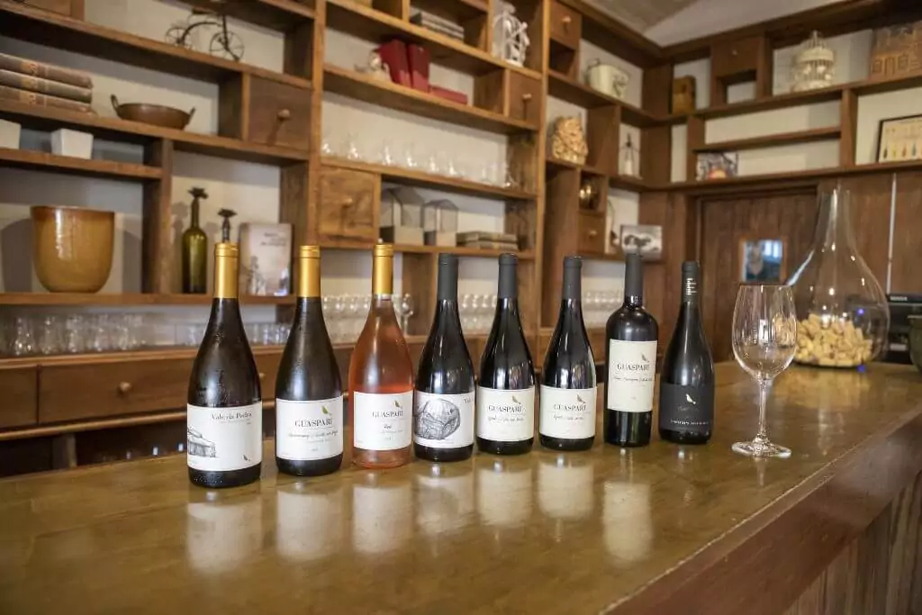 Guaspari na Vino Mundi