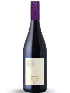 Les Larcins Pinot Noir