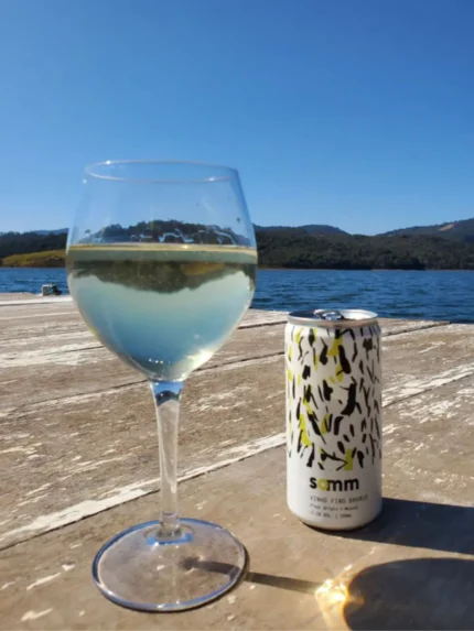 Vinho em Lata Somm Branco Pinot Grigio Muscat - ambientado