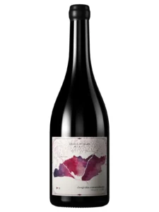 Vinho da Argentina do Valle do Uco Geografia extraordinaria Escala Humana Wines