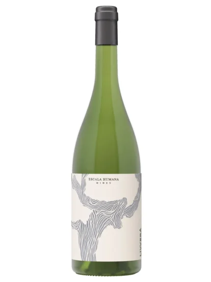 Vinho Branco da Argentina Natural Orgânico Livverá Chenin Blanc Escala Humana Wines