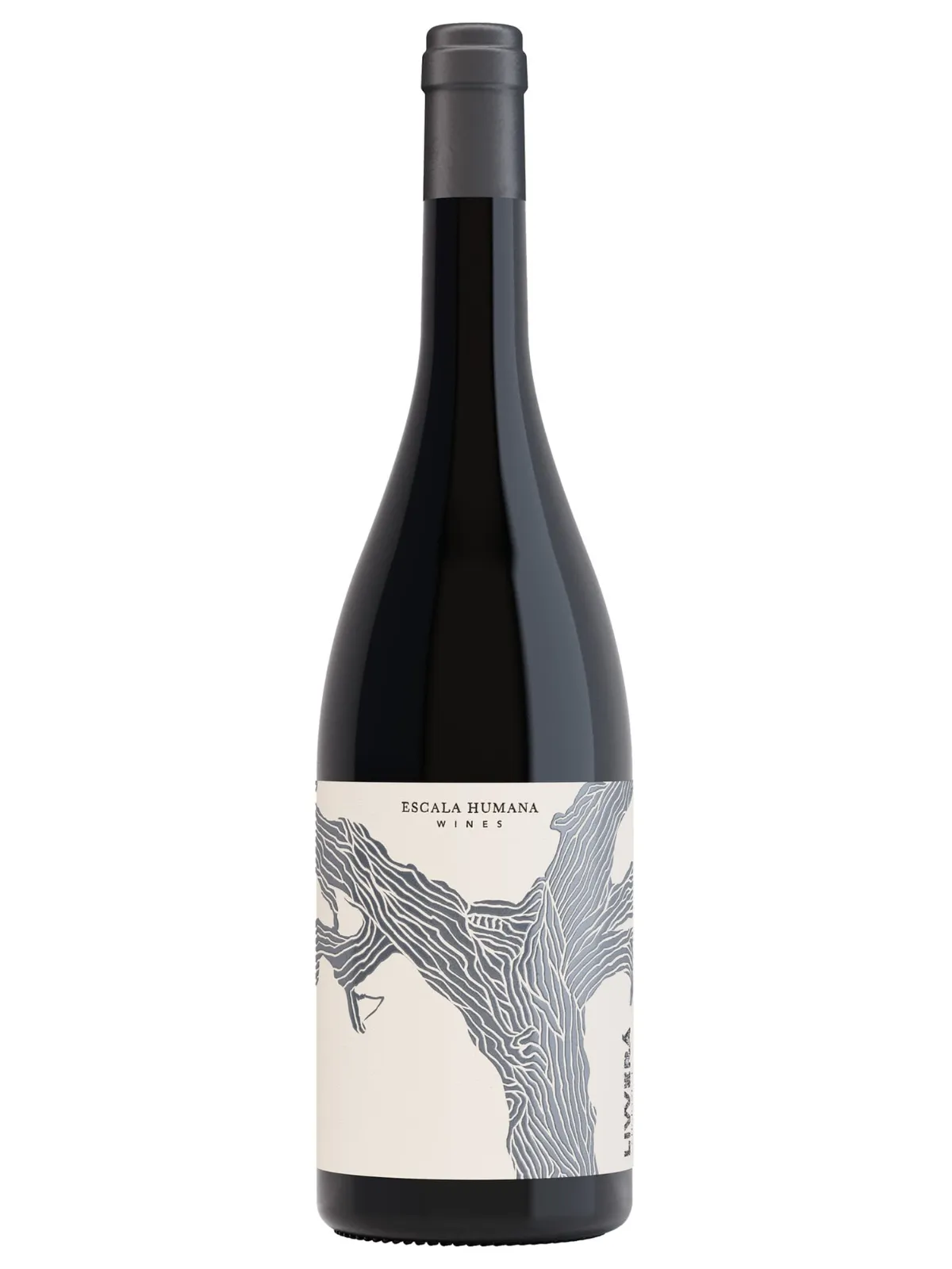 Livverá Sangiovese 2023-squished Vinho tinto natural argentino Livverá Sangiovese Escala Humana Wines