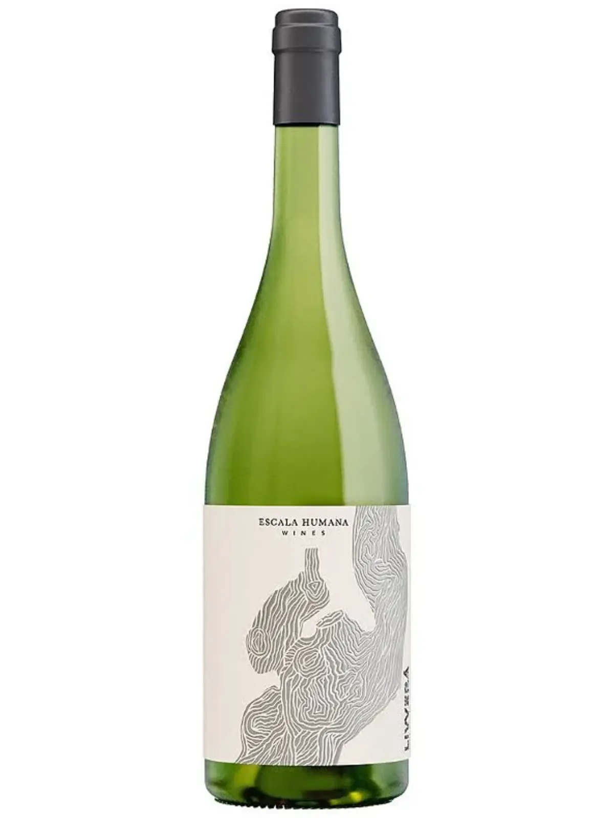 Garrafa 1200 x 1600 (7) Livvera malvasia