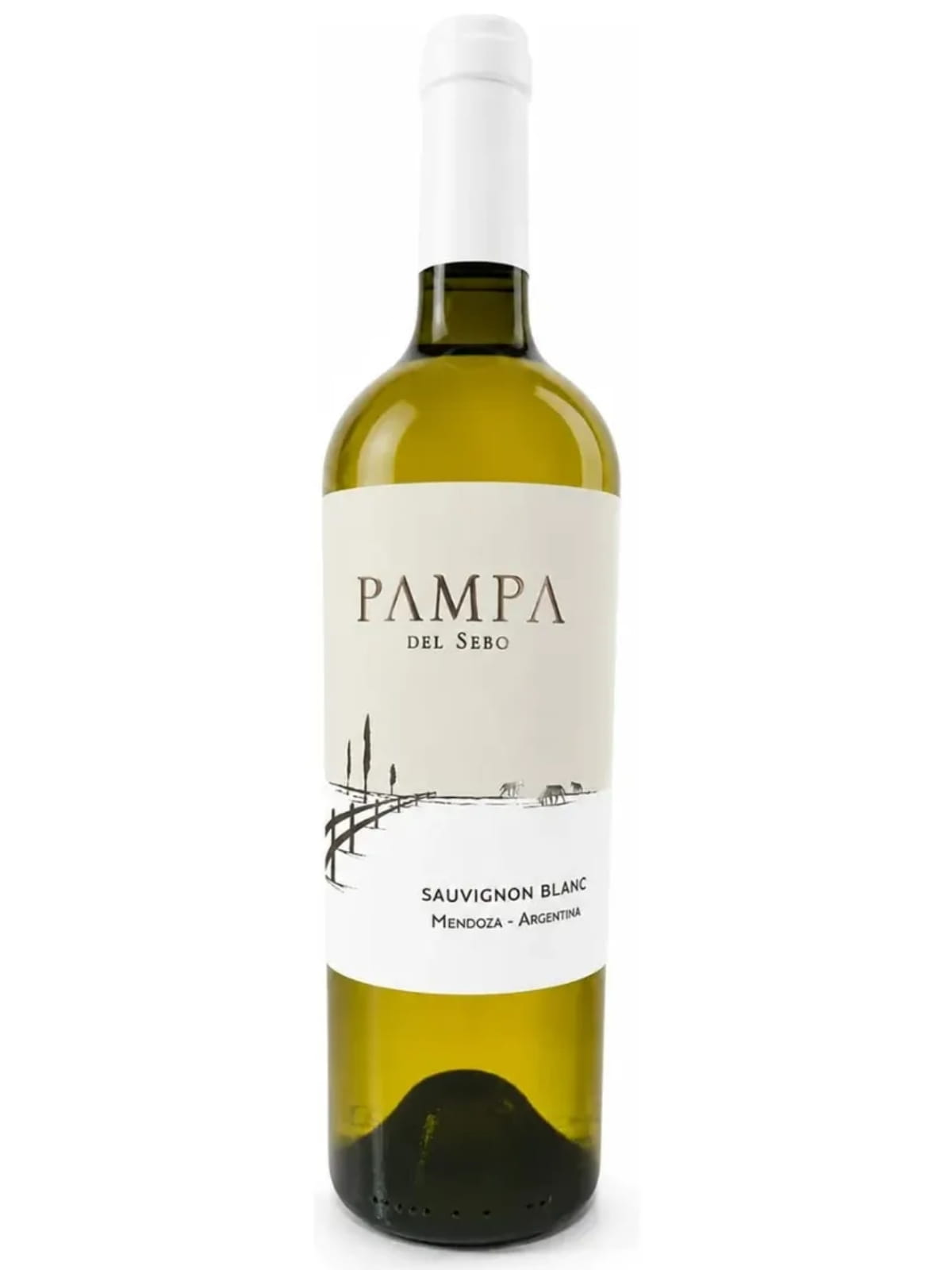 Vinho Branco Sauvignon Blanc Pampa Del Sebo-squished Pampa Del Sebo Sauvignon Blanc - Imagem 1