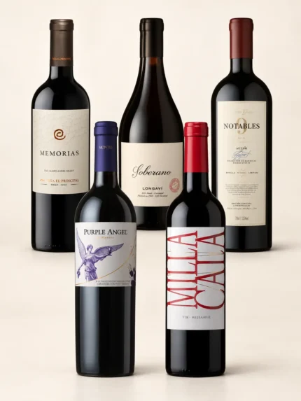 5 garrafas de Vinhos icones do chile